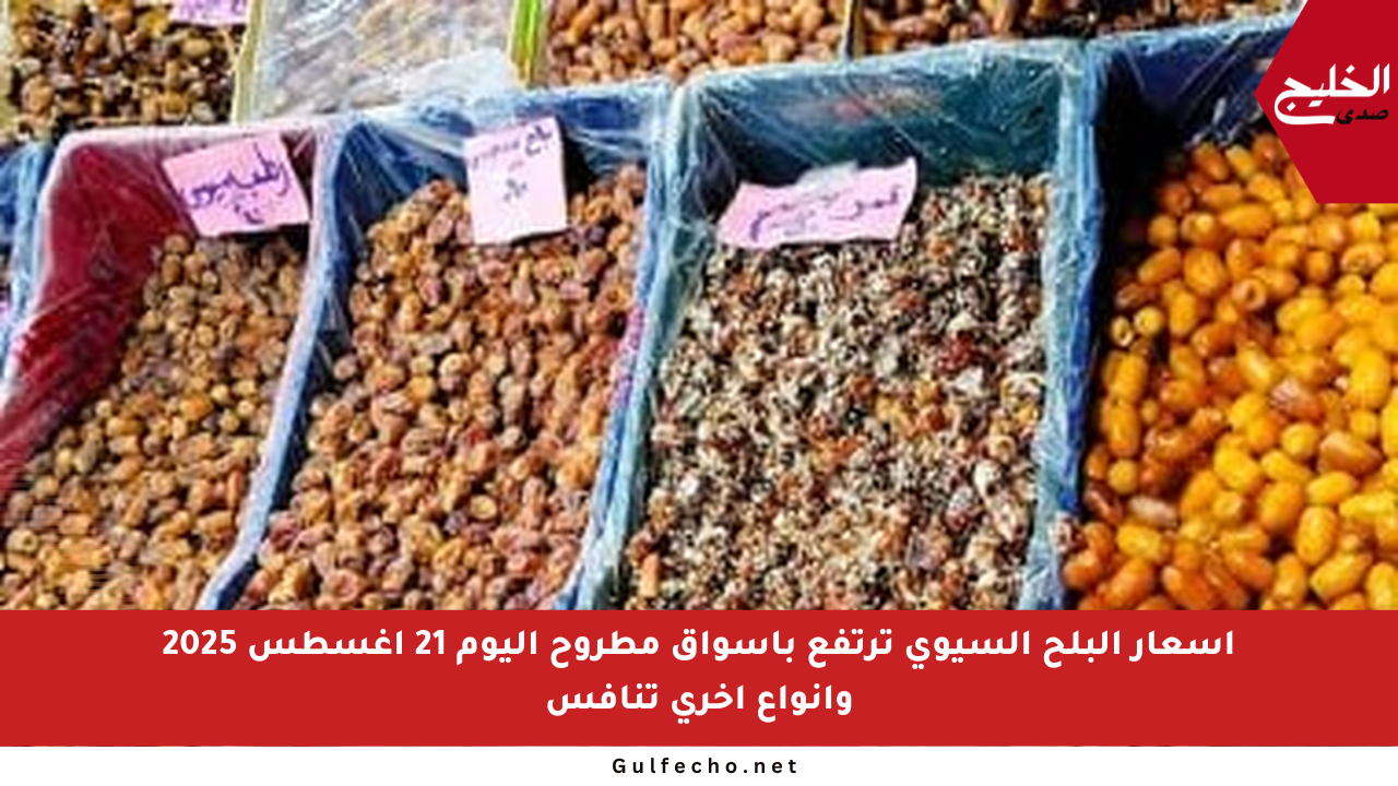 أسعار البلح السيوي ترتفع بأسواق مطروح اليوم 21 أغسطس 2025 وأنواع أخرى تنافس